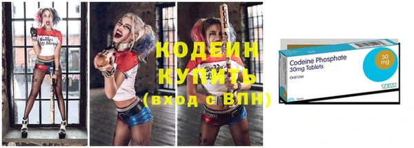 ПСИЛОЦИБИНОВЫЕ ГРИБЫ Вяземский
