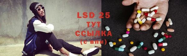 индика Вязники