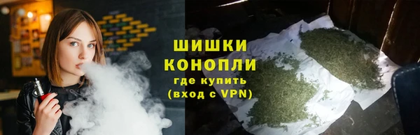 ПСИЛОЦИБИНОВЫЕ ГРИБЫ Вяземский