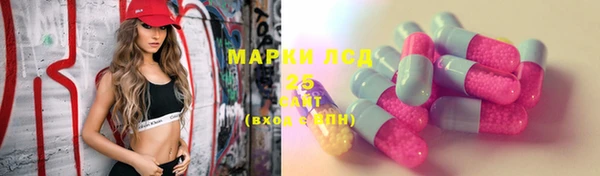 индика Вязники