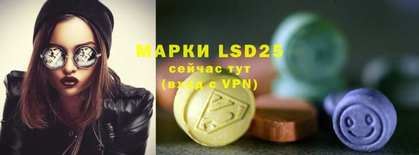 индика Вязники