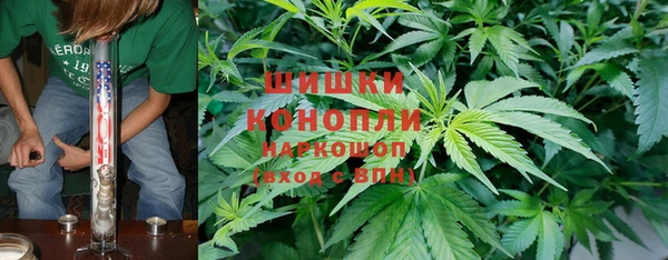 ПСИЛОЦИБИНОВЫЕ ГРИБЫ Вяземский