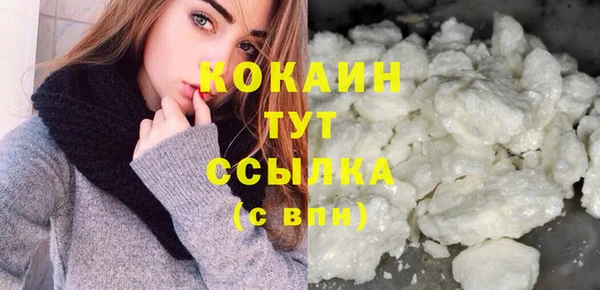 ПСИЛОЦИБИНОВЫЕ ГРИБЫ Вяземский