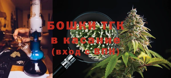 ПСИЛОЦИБИНОВЫЕ ГРИБЫ Вяземский