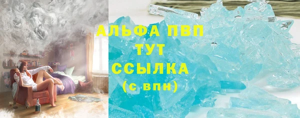 индика Вязники