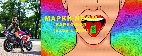 ПСИЛОЦИБИНОВЫЕ ГРИБЫ Вяземский
