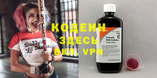 ПСИЛОЦИБИНОВЫЕ ГРИБЫ Вяземский