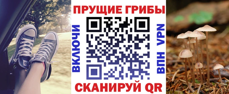 mega зеркало  Ишимбай  Псилоцибиновые грибы Cubensis 